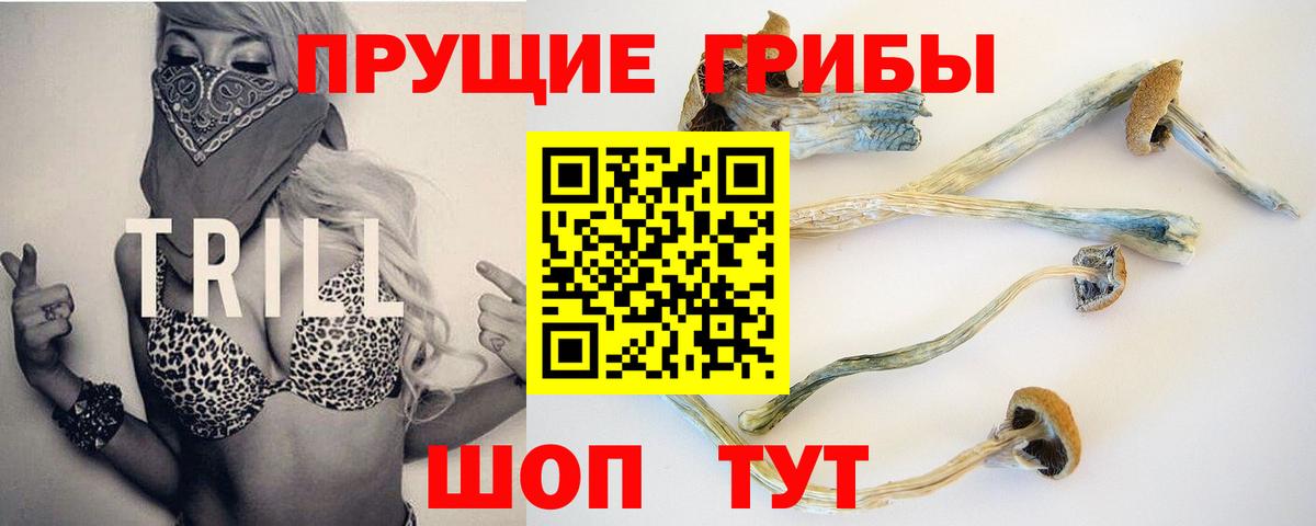 Псилоцибиновые грибы Cubensis  Вход с VPN  Амурск 